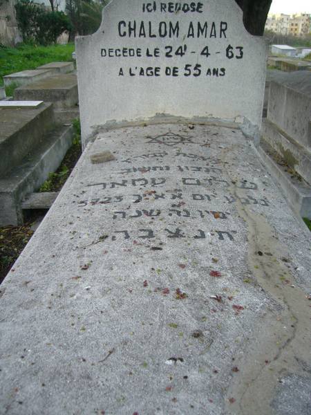 Estela de AMAR Chalom