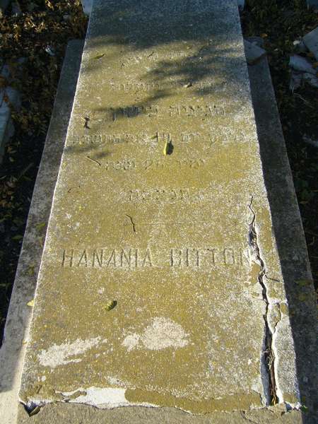 Grabstein von BITTON Hanania
