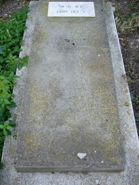 Grafsteen van MOYAL Ihia