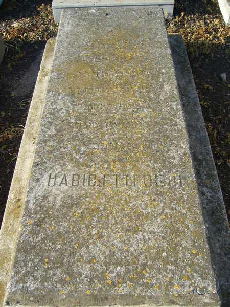 Stèle de ETTEDGUI Habib