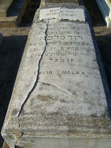 Tombstone of MALKA David