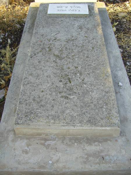 AYACHE Makhlouf fejfája