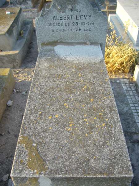מַצֵּבה פון LEVY Albert