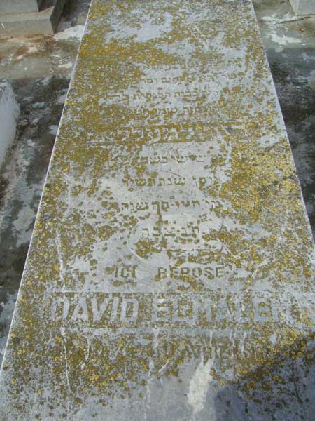 Estela de ELMALEH David