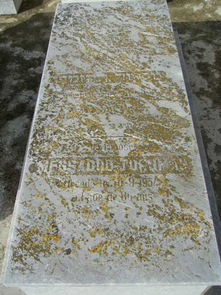 Tombstone of TORJMAN Messaoud
