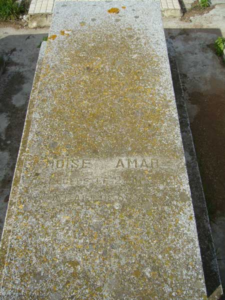 מצבת AMAR Moise