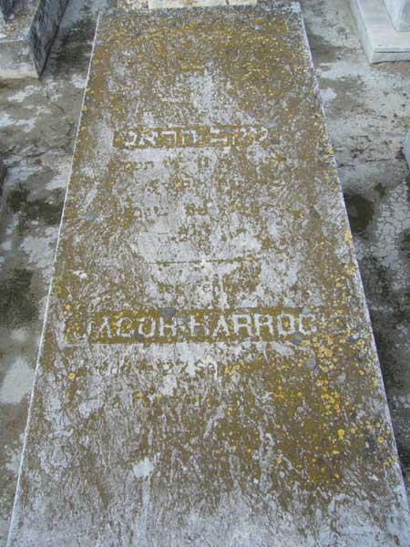 شاهدة قبر HARROCH Jacob
