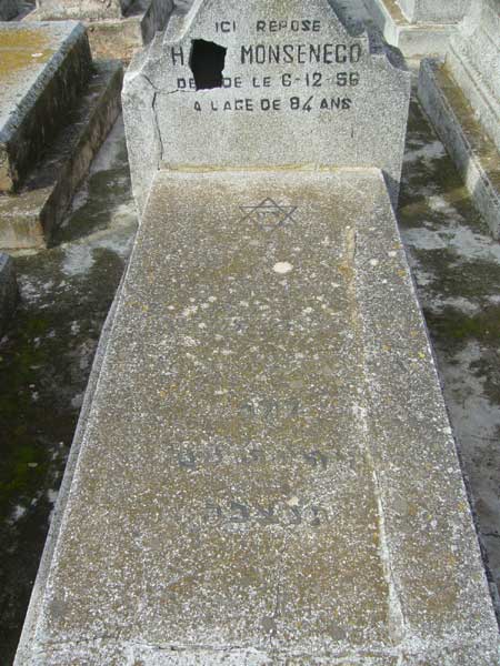 מצבת MONSONEGO Haim