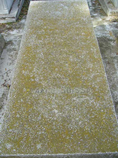 Tombstone of SUISSA Isaac