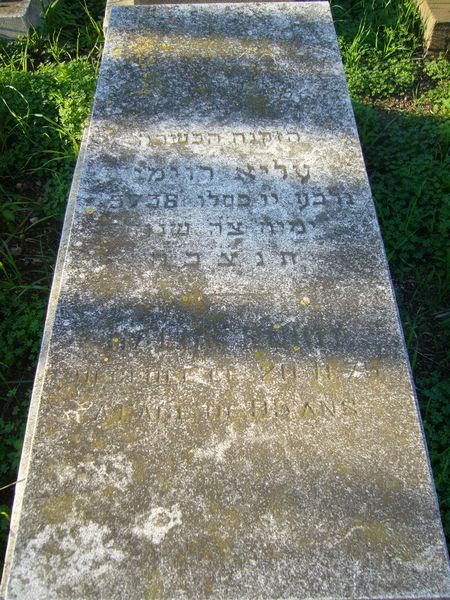 Stèle de RUIMY Alia