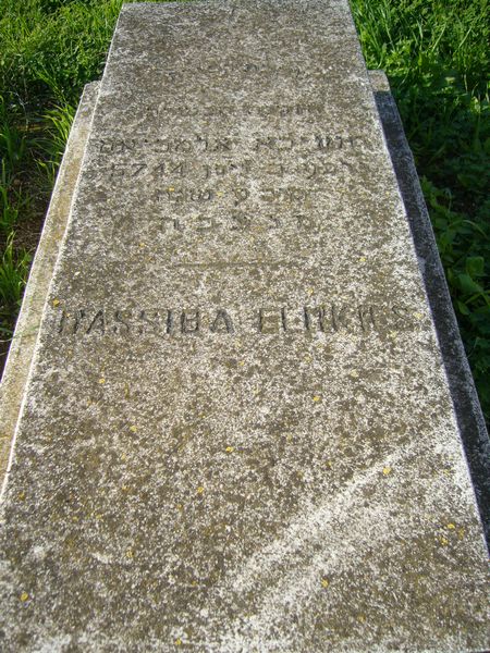 Estela de ELMKIES Hassiba