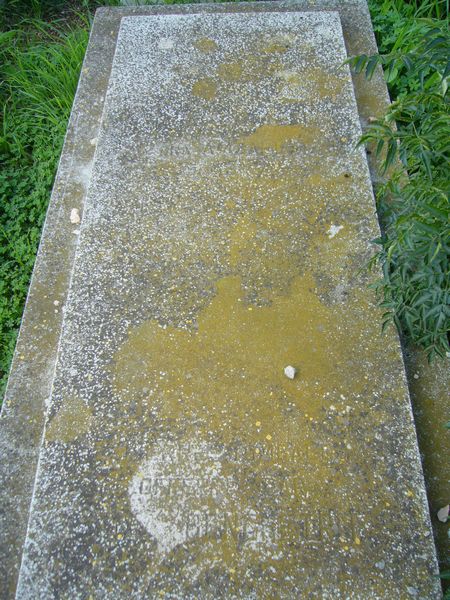 Tombstone of AMZALLAG