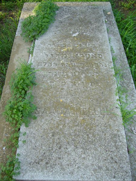 Tombstone of MELLUL Saada