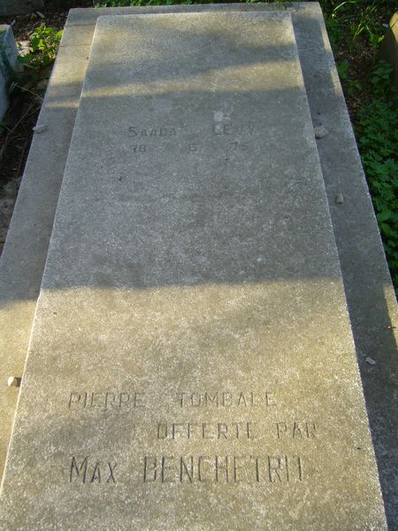 Stèle de LEVY Saada