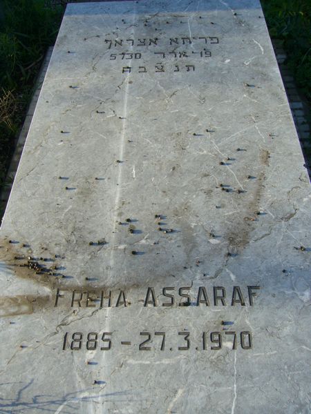 Estela de ASSARAF Freha