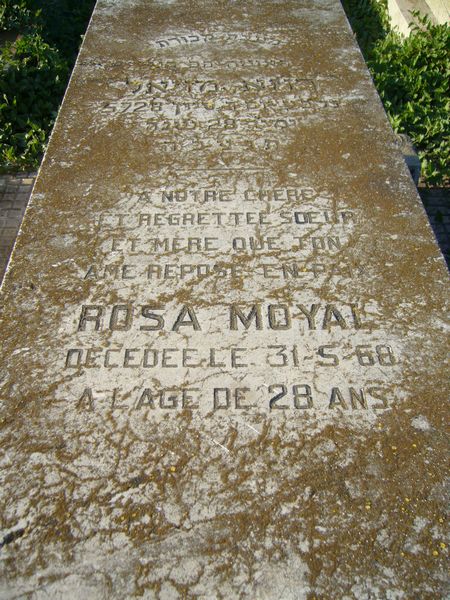 Lápide de MOYAL Rosa