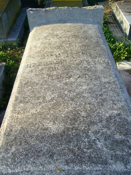 מצבת TAIEB Zahra