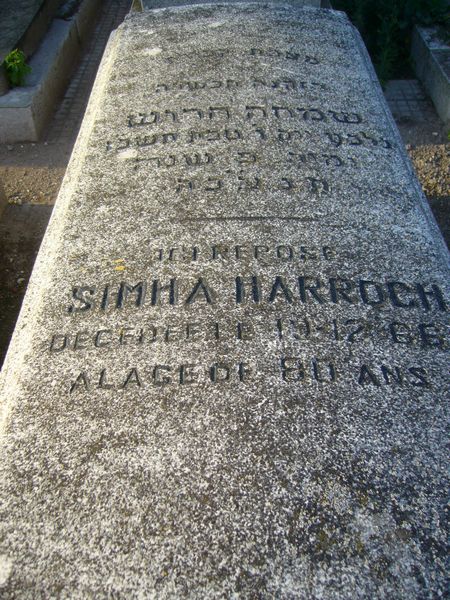 Grabstein von HARROCH Simha