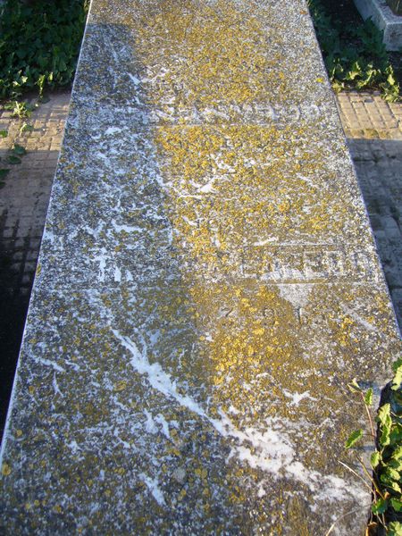 Stèle de LAREDO Estrella