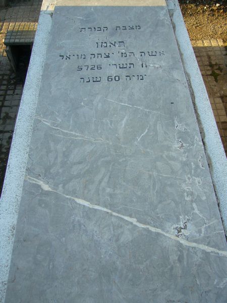 מצבת MOYAL Tamou