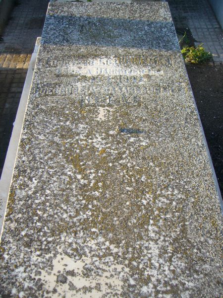 Grabstein von HEINEMAN Lilli Docteur