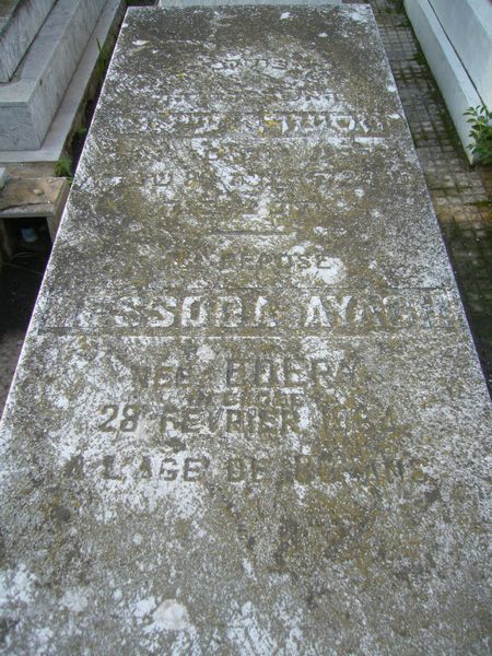 Estela de AYACHE Messoda