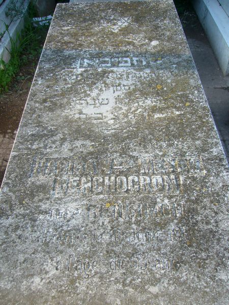 Grabstein von BENCHOKRONE Habiba