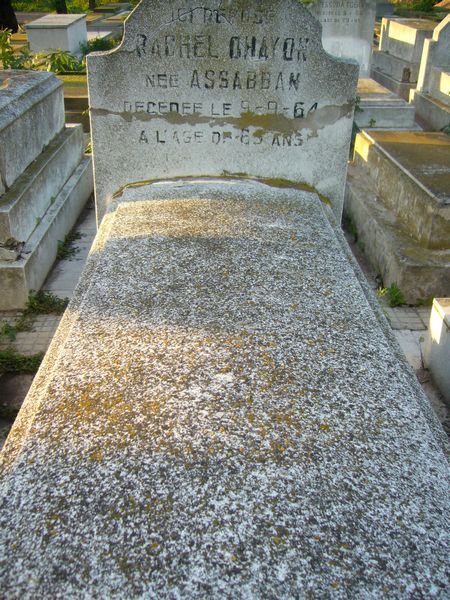 Stèle de OHAYON Rachel