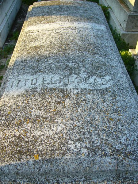 Estela de ELKESLASSY Itto