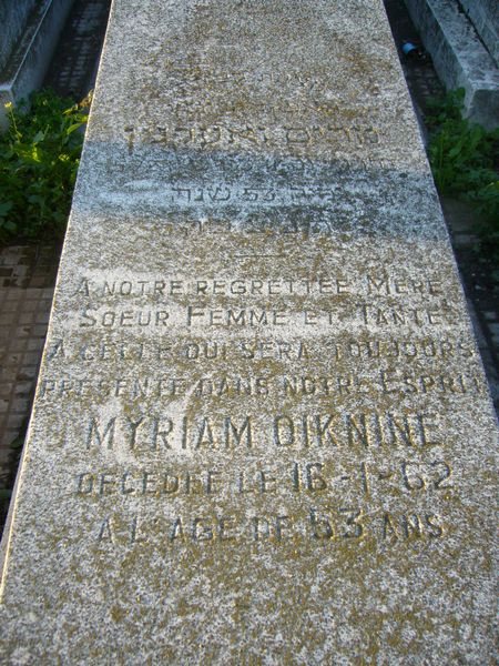 Stèle de OIKNINE Myriam