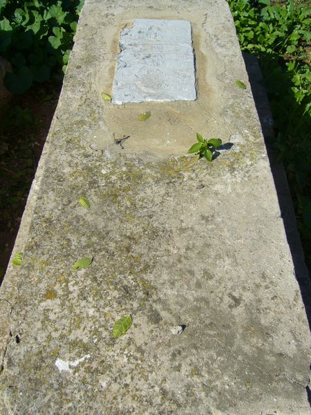 Grafsteen van COHEN Tamou