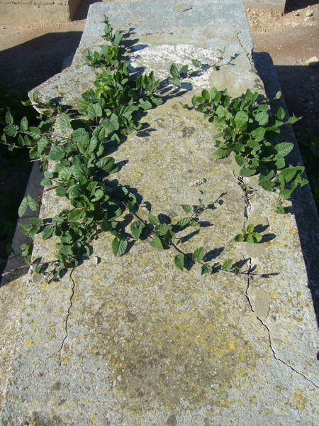 Tombstone of LOOK Simon