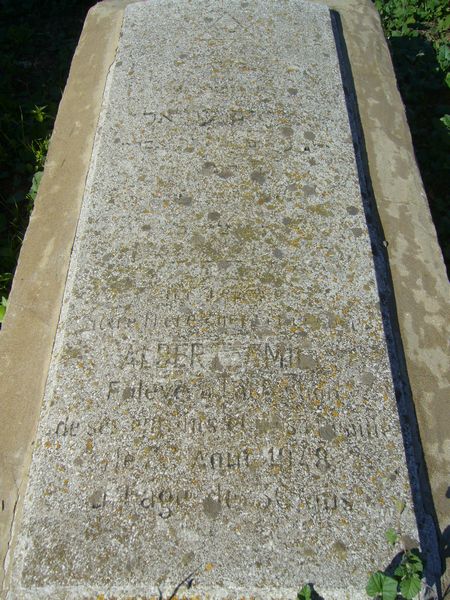 מצבת AMIEL Albert