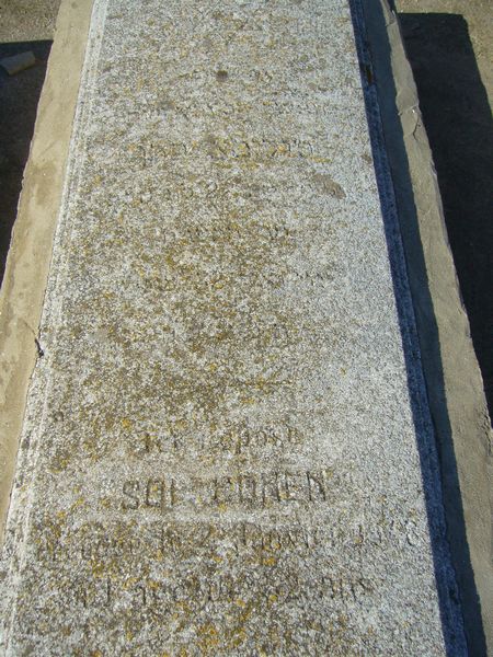 شاهدة قبر COHEN Sol