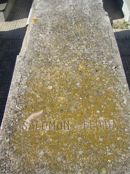 FEDIDA Salomon 的墓碑