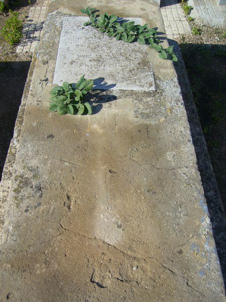 Estela de ELHARRAR