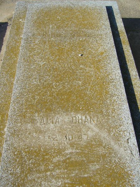 Stèle de OHANA Alia
