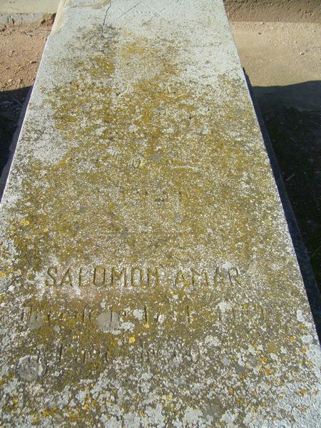 מַצֵּבה פון AMAR Salomon