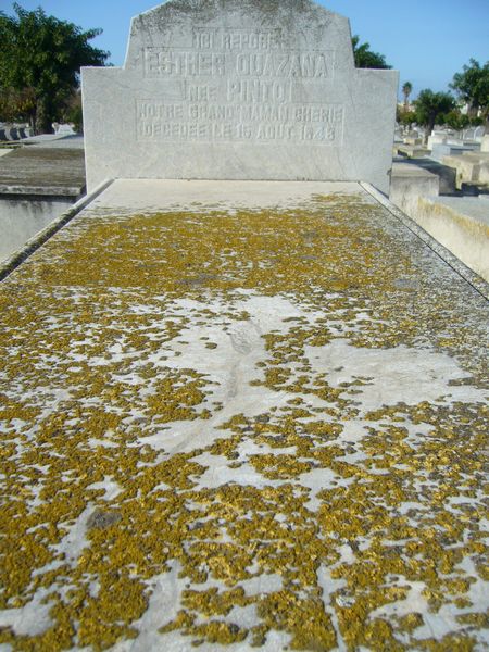 Stèle de OUAZANA Esther
