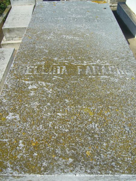 Grafsteen van FARACHE Ellida