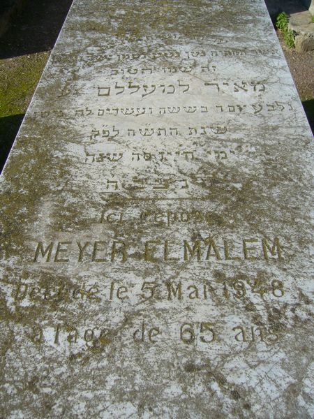Estela de ELMALEH Meyer