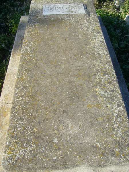 Tombstone of AMAR Tamou