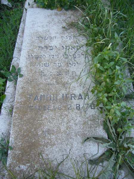 Tombstone of IFRAH Tamou