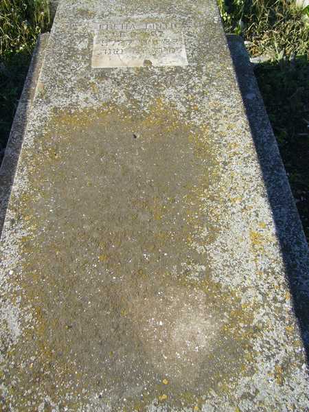 Stèle de PINTO Freha