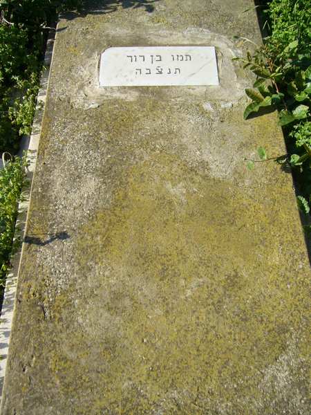 Grabstein von BENDAVID Tamou