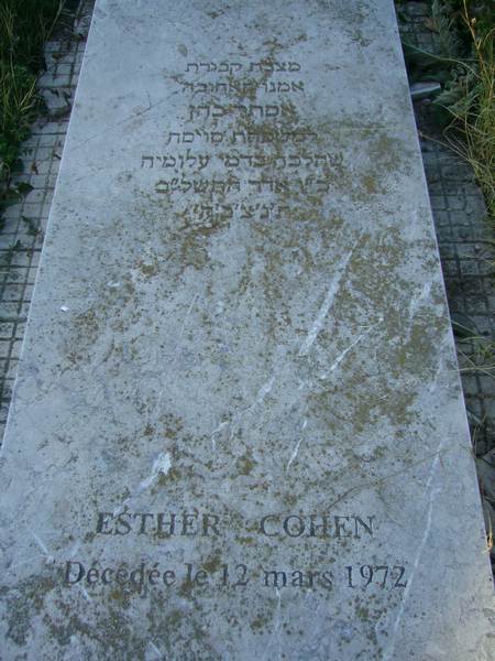 شاهدة قبر COHEN Esther