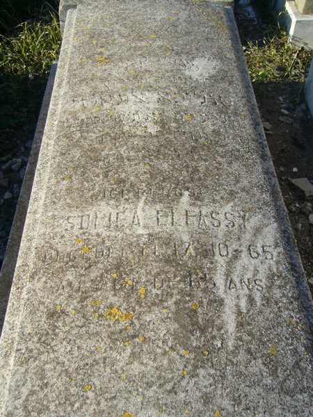 Estela de ELFASSY Solica