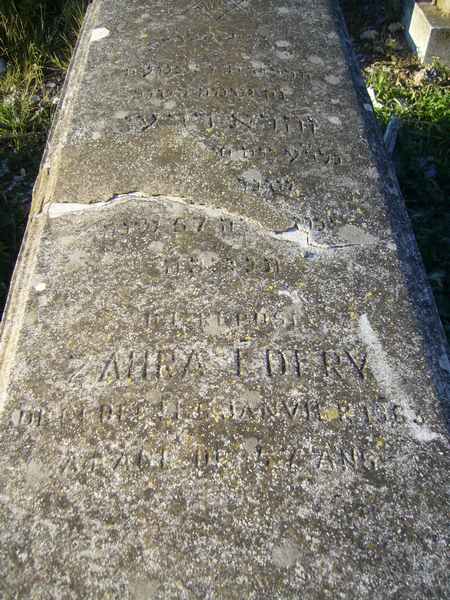 Estela de EDERY Zahra