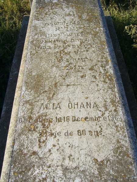 מַצֵּבה פון OHANA Alia