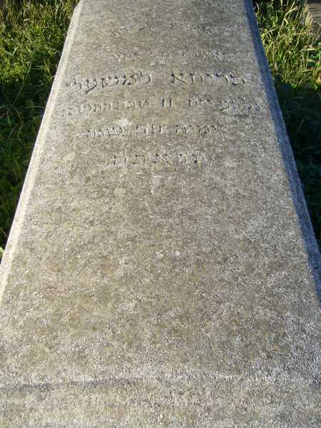 Stèle de ELMECHALY Freha